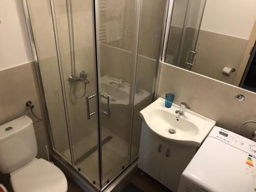 a bathroom with a shower and a toilet and a sink at Skh 3 in Praid