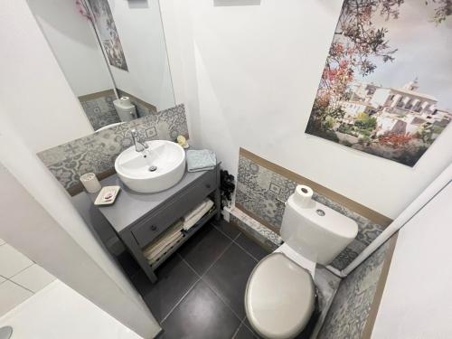 アヴィニョンにあるLes Coulisses de l'HORLOGE - WIFI - 50 m Palais des Papesの小さなバスルーム(洗面台、トイレ付)