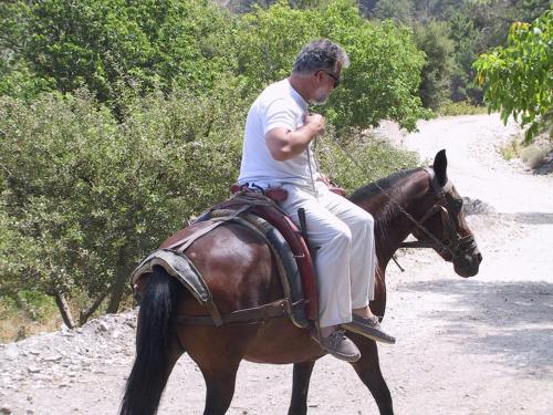 a man riding a horse on a dirt road at Hotel Agnanti in Ágios Konstantínos