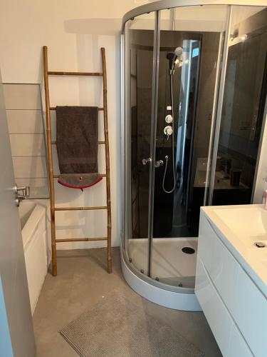 ein Bad mit einer Dusche und einer Glastür in der Unterkunft Le Lys in Lassay