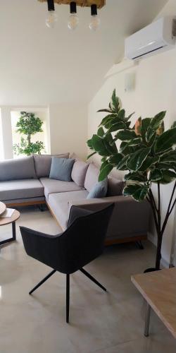 ein Wohnzimmer mit einem Sofa und einer Topfpflanze in der Unterkunft Luxury suite with Olympus and sea view in Litochoro