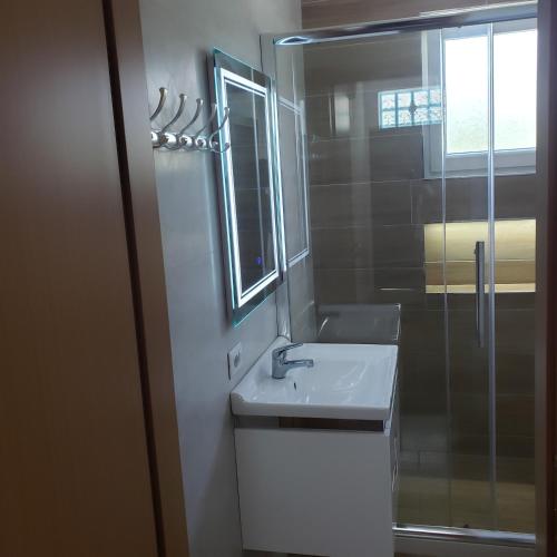 a bathroom with a sink and a glass shower at Pomegranates & Olives Guesthouse in Durrës