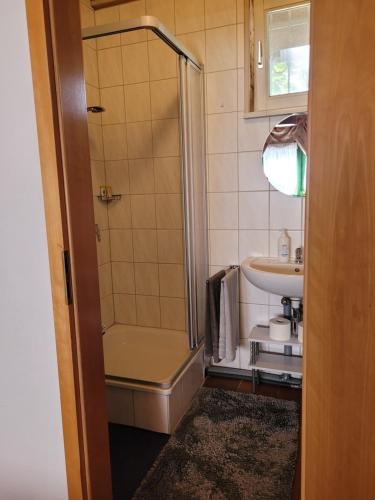 a small bathroom with a shower and a sink at Tiemann in Preußisch Oldendorf