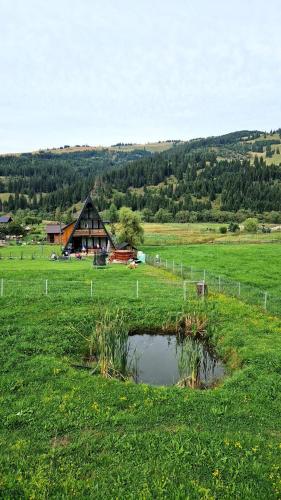 a pond in the middle of a field with a house at A Frame Alpin in Vatra Dornei