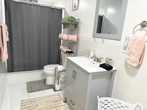 a bathroom with a toilet and a sink and a shower at New! Bluestone Getaway in Christiansted USVI ! in Christiansted