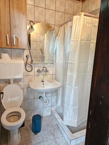 a bathroom with a toilet and a sink and a mirror at Booking Apartments Alone 1 in Belgrade