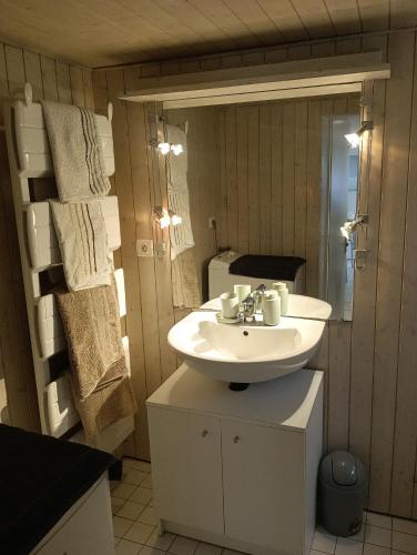 une salle de bain avec un lavabo et un miroir dans l'établissement Chez Fanfan, à Neuvecelle