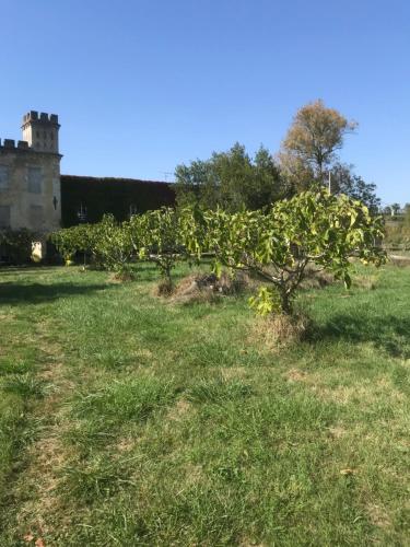 Photo de la galerie de l'établissement Loft + 2 chambres château Gourdet, à Bourg