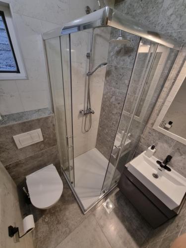 a bathroom with a shower and a toilet and a sink at Apartman Lucia in Mimice