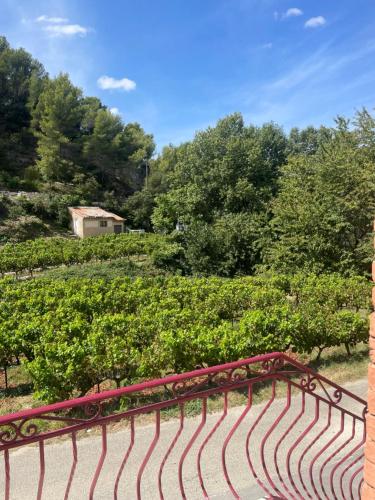 Vonkajšia záhrada v ubytovaní Appartement au calme au milieu du vignoble de Gigondas