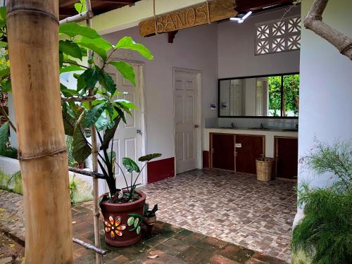een keuken met een potplant en een spiegel bij Huitzilin Hostal in Brisas de Zicatela