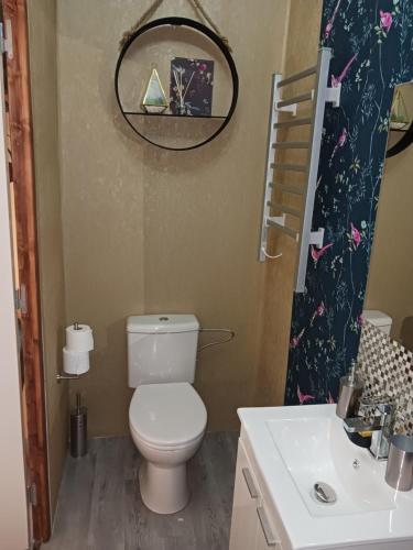 a bathroom with a toilet and a sink at Cherry Blossom House in Bujaleuf