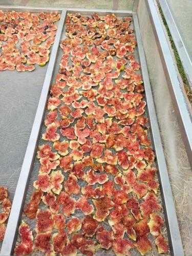 un ramo de flores en una olla de pizza en Doğal Dikili Çiftlik, en Dikili