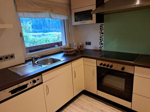 Kuchyň nebo kuchyňský kout v ubytování Apart Lisa