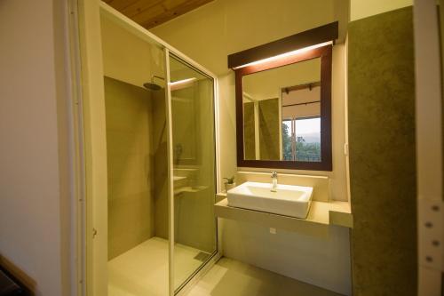 een badkamer met een wastafel en een spiegel bij The Hills By Blue Fox in Kandy