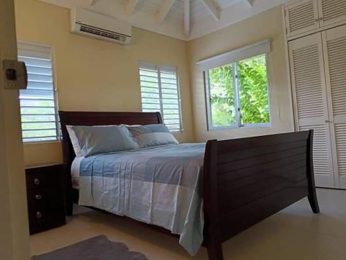 a bedroom with a bed and two windows at Mahoe Villa @ Richmond Estate in Richmond