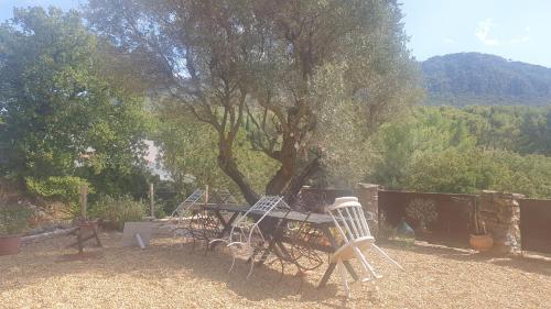 BIENVENUE في Le Revest-le-Eaux: طاولة وكراسي يجلسون تحت شجرة