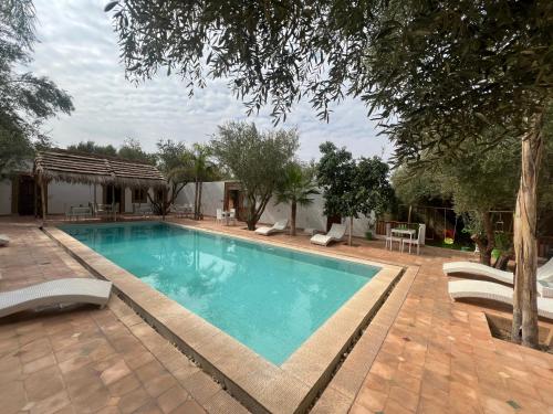 einen Pool im Garten mit Stühlen und Bäumen in der Unterkunft O'loft in Marrakesch
