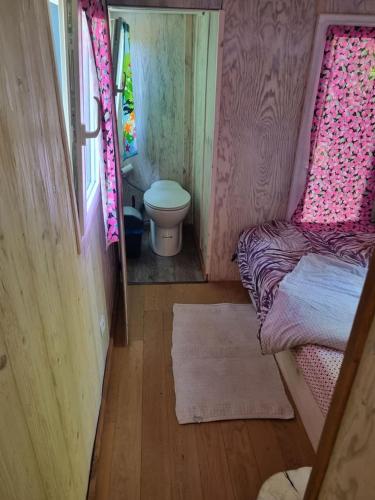 Cette petite chambre comprend des toilettes, un lit et une salle de bains. dans l'établissement Au fils de l'eau, à Strasbourg