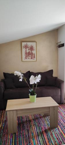 un salon avec un canapé et une table basse dans l'établissement Tiny house cosy au cœur du Pays du Mont-Blanc, à Sallanches