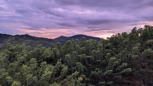 an aerial view of a forest of trees under a cloudy sky at Four Trees Jungle Lodge in San Juan del Sur