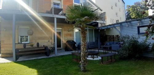 Κήπος έξω από το Villa Johner