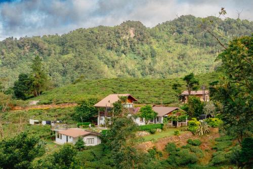 Hill Safari - Tea Estate Villa في أوهيا: منزل على تل امام جبل