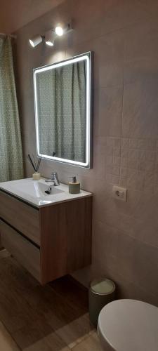 a bathroom with a sink and a mirror and a toilet at Casa Higopico in Tacoronte