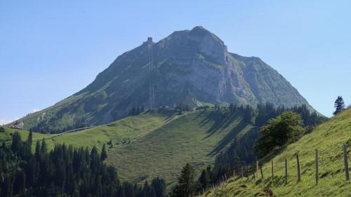 a mountain on a green hill with trees on it at Joli studio au pied du Moleson in Gruyères