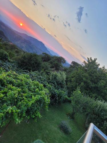 a view of a vineyard with a sunset in the background at Bujtina Bezhani Gjinar in Elbasan