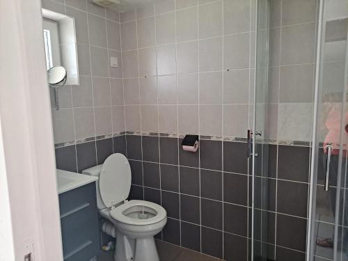 une salle de bain avec toilettes et douche dans l'établissement Les lutins rêveurs, à Montagny-près-Louhans