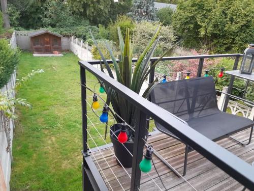 eine Terrasse mit einem Stuhl und einer Topfpflanze in der Unterkunft Grd maison 6 Couchages, 25 mn du stade en métro in Lambersart