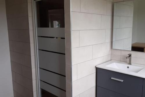 une salle de bain avec un lavabo et un miroir dans l'établissement Maison calme individuelle proche du Mont st Michel, à Saint-Aubin-de-Terregatte