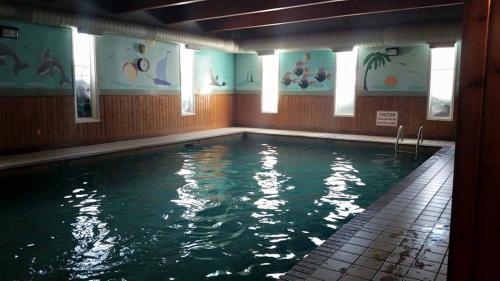 einem Pool mit grünem Wasser in einem Gebäude in der Unterkunft Claymore Inn and Suites in Antigonish