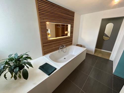 baño con lavabo y maceta en La villa du Tilleul en Stoumont