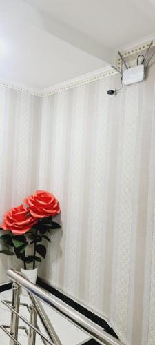 a room with red roses on a striped wall at sheykh hotel in Andizhan