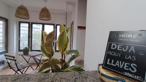 a plant sitting on a counter next to a sign at Hostal Zaragoza Centro in Zaragoza