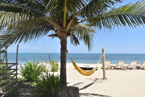 a hammock hanging from a palm tree on a beach at Palenque Beach House in San Onofre