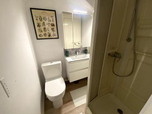 La salle de bains est pourvue de toilettes, d'un lavabo et d'une douche. dans l'établissement Studio calme hyper-centre, à Grenoble