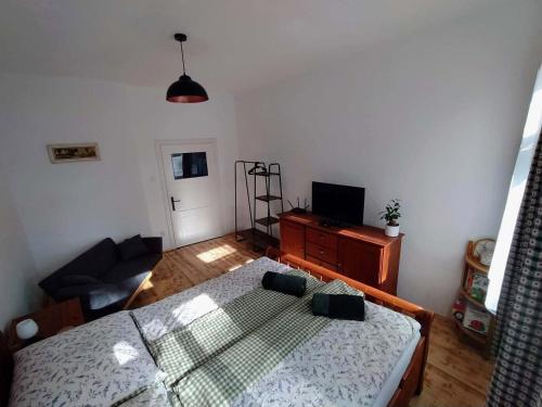 a bedroom with a bed and a couch and a television at Vejminek Malý Statek in Slavče