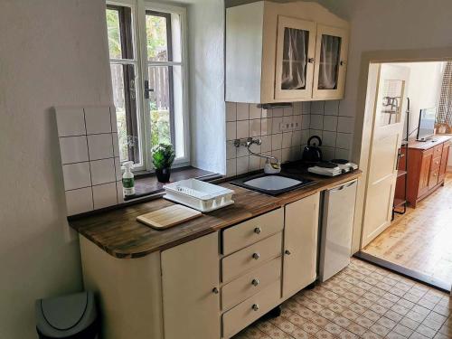 uma cozinha com um lavatório e uma bancada em Vejminek Malý Statek 