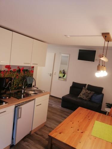 a kitchen and living room with a couch and a table at Kleine Wohnung (idyllische Lage) in Wutöschingen