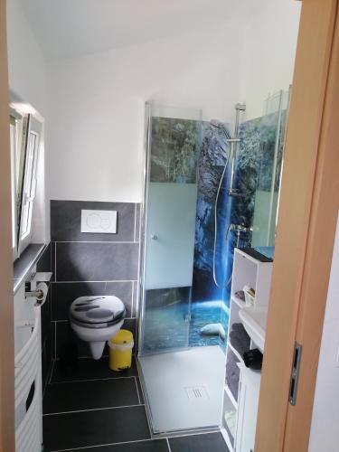 a bathroom with a shower with a toilet and a sink at Kleine Wohnung (idyllische Lage) in Wutöschingen