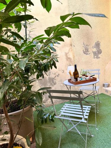 Κήπος έξω από το Beau studio et sa terrasse quartier historique
