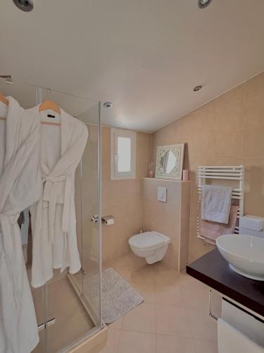 une salle de bain avec une douche, des toilettes et un lavabo dans l'établissement Le Mas Provençal Valbonne, à Valbonne