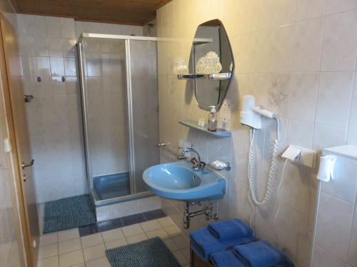 a bathroom with a shower and a sink and a mirror at Haus Elena in Lainach