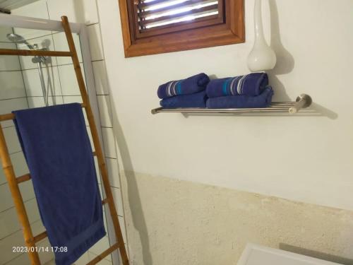 La salle de bains est pourvue de 2 serviettes bleues et d'une échelle. dans l'établissement Douceur des Hauteurs bas de villa, piscine privée, à Sainte-Luce