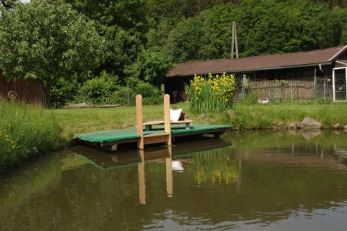 a cat sitting on a bench on a dock in a pond at Einfach.Ausspannen in Neumarkt im Mühlkreis
