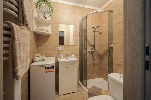 La salle de bains est pourvue d'une douche, de toilettes et d'un lavabo. dans l'établissement Cozy Warsaw City Center Studio, à Varsovie