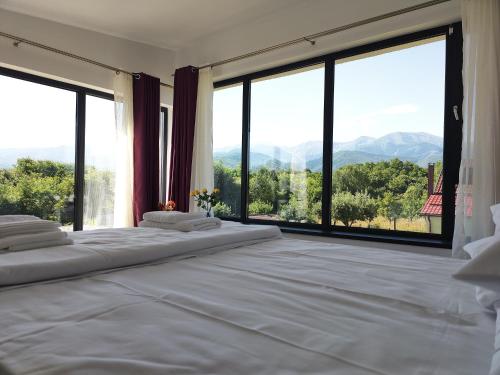 1 dormitorio con 2 camas y ventanas grandes en JAI GIRIDHARI, en Avrig